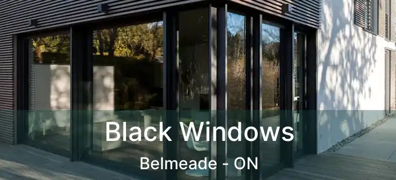  Black Windows Belmeade - ON