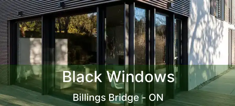  Black Windows Billings Bridge - ON