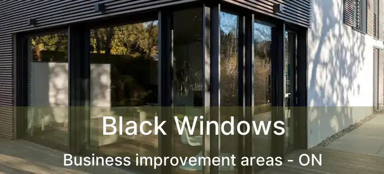  Black Windows Business improvement areas - ON