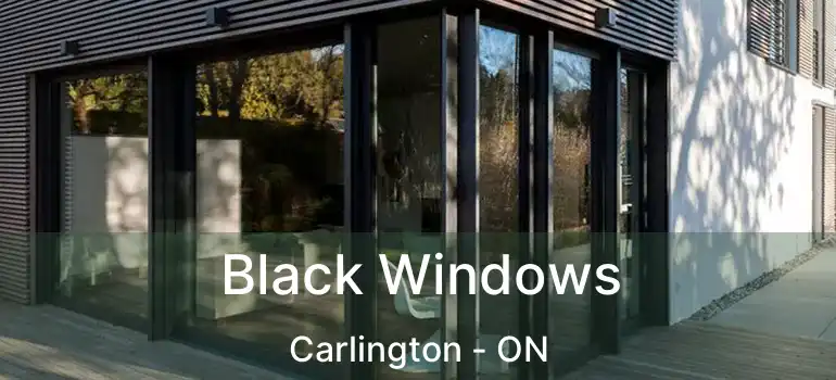  Black Windows Carlington - ON