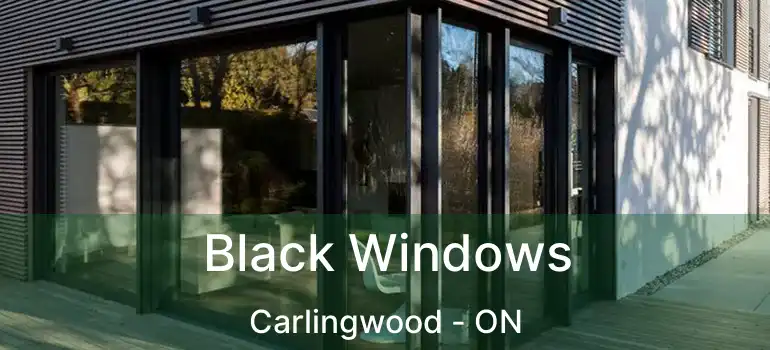  Black Windows Carlingwood - ON