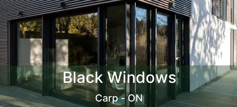  Black Windows Carp - ON