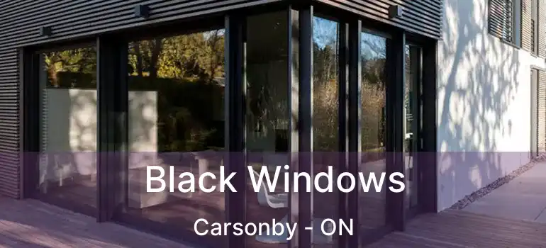  Black Windows Carsonby - ON