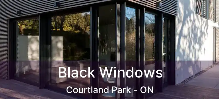  Black Windows Courtland Park - ON