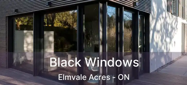  Black Windows Elmvale Acres - ON