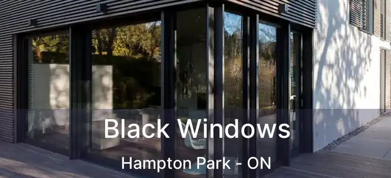  Black Windows Hampton Park - ON