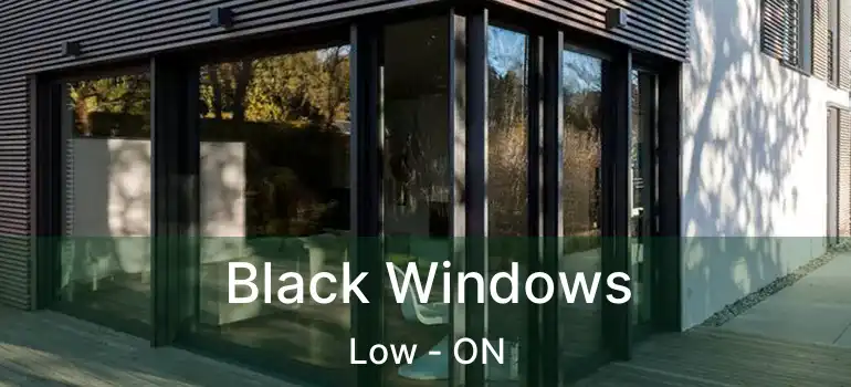  Black Windows Low - ON