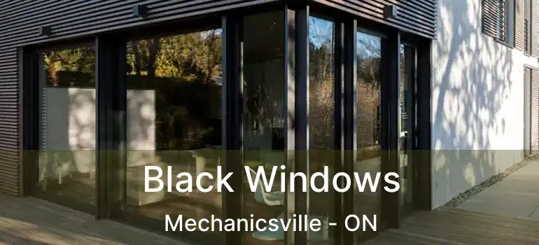  Black Windows Mechanicsville - ON