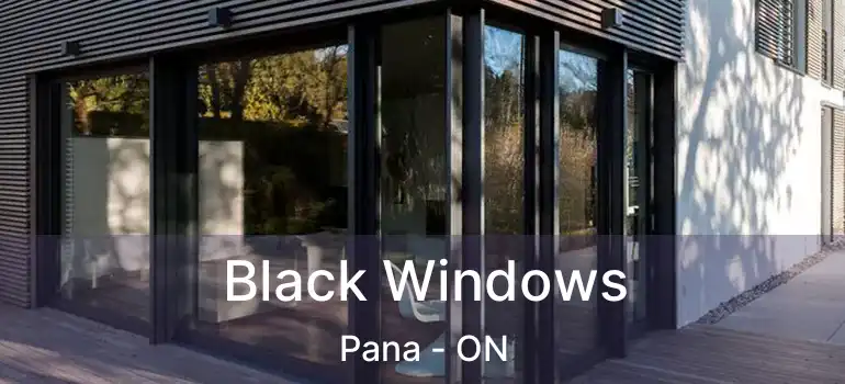  Black Windows Pana - ON