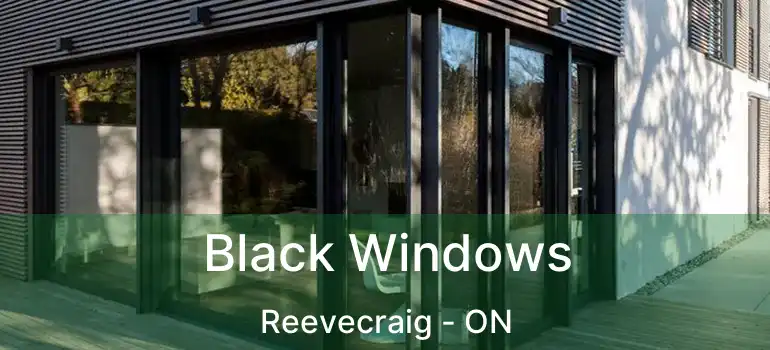  Black Windows Reevecraig - ON