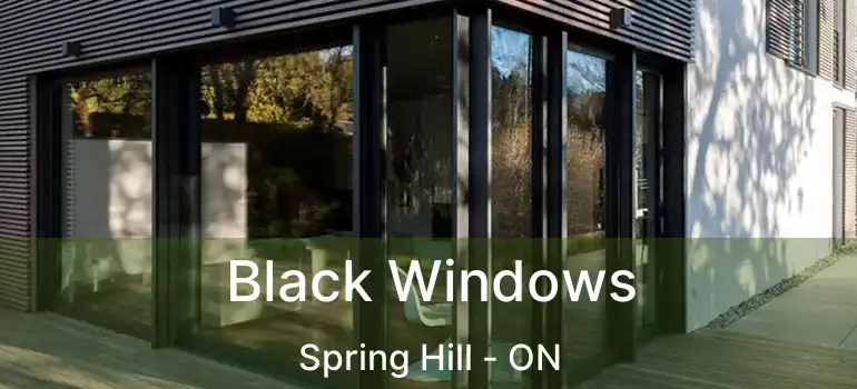  Black Windows Spring Hill - ON