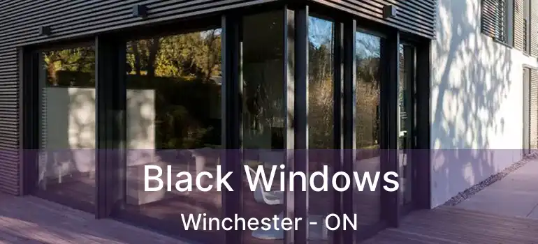  Black Windows Winchester - ON