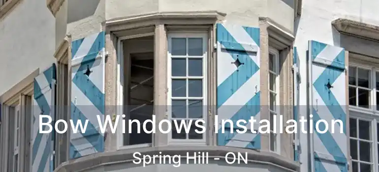  Bow Windows Installation Spring Hill - ON