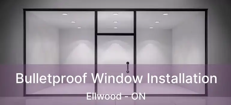  Bulletproof Window Installation Ellwood - ON