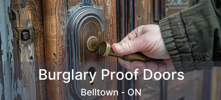  Burglary Proof Doors Belltown - ON