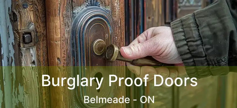  Burglary Proof Doors Belmeade - ON