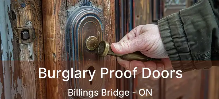  Burglary Proof Doors Billings Bridge - ON