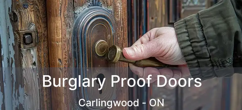  Burglary Proof Doors Carlingwood - ON