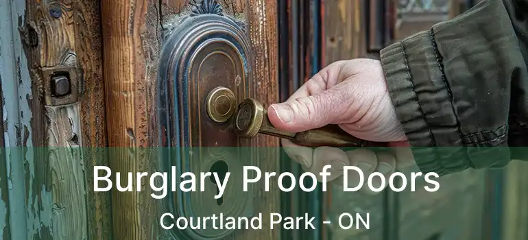  Burglary Proof Doors Courtland Park - ON