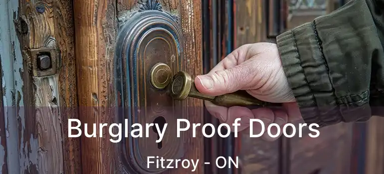  Burglary Proof Doors Fitzroy - ON