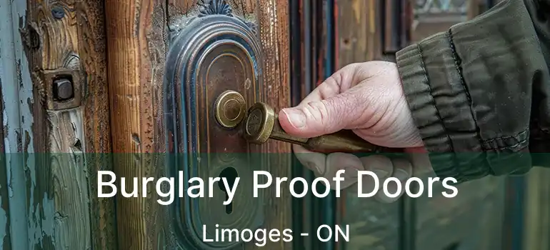  Burglary Proof Doors Limoges - ON