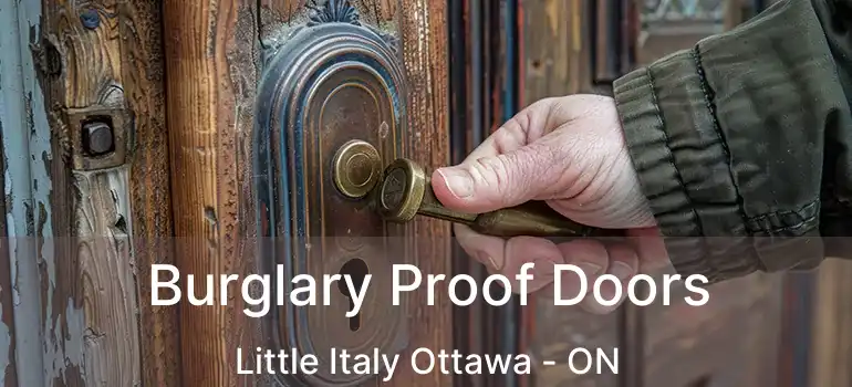  Burglary Proof Doors Little Italy Ottawa - ON