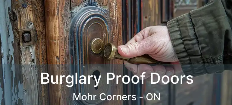  Burglary Proof Doors Mohr Corners - ON