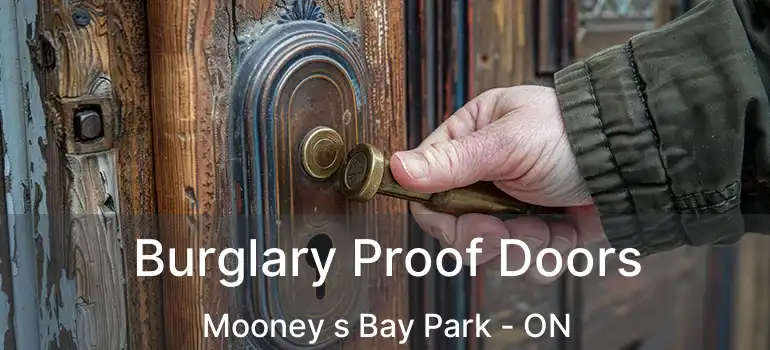  Burglary Proof Doors Mooney s Bay Park - ON