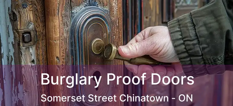  Burglary Proof Doors Somerset Street Chinatown - ON