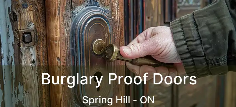  Burglary Proof Doors Spring Hill - ON