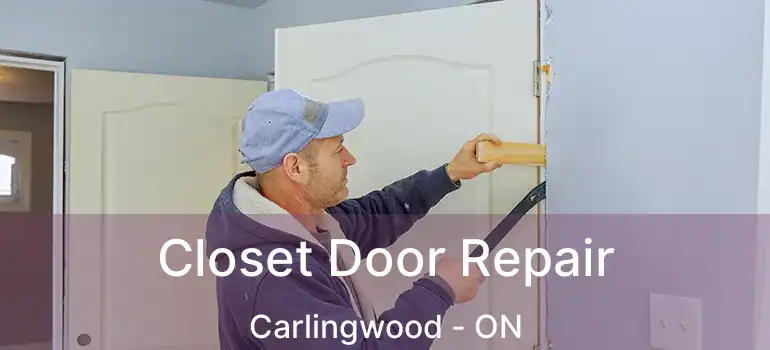  Closet Door Repair Carlingwood - ON