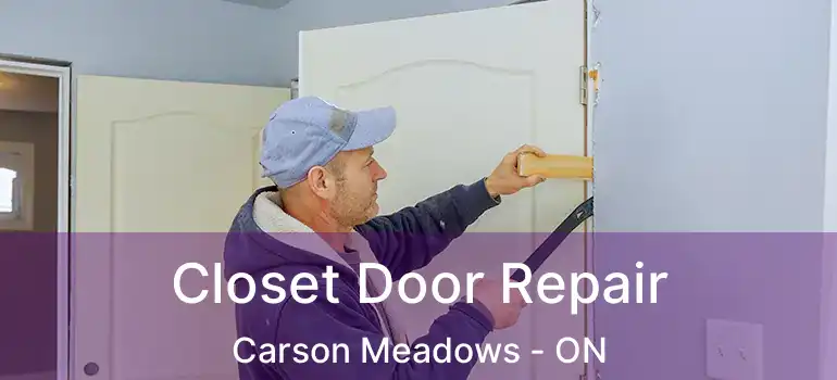  Closet Door Repair Carson Meadows - ON