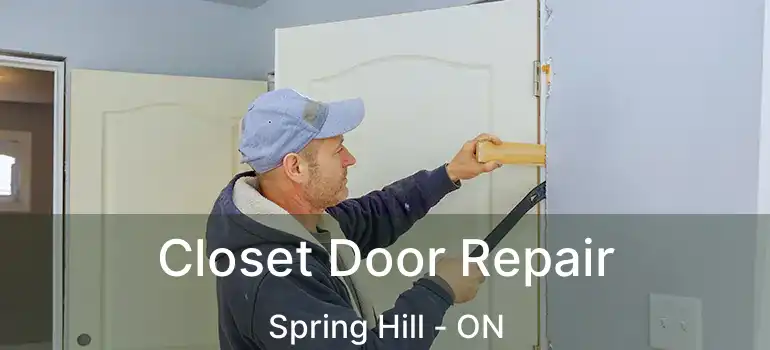  Closet Door Repair Spring Hill - ON