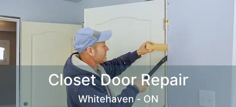  Closet Door Repair Whitehaven - ON