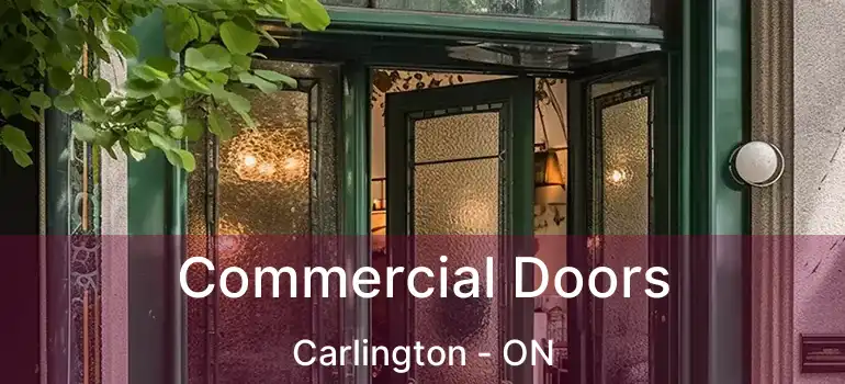  Commercial Doors Carlington - ON