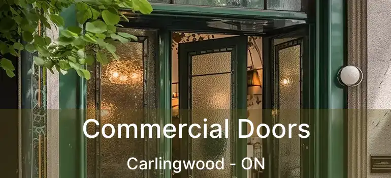  Commercial Doors Carlingwood - ON