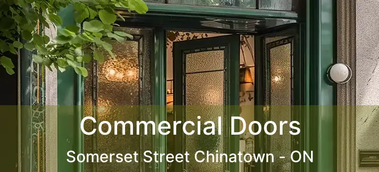  Commercial Doors Somerset Street Chinatown - ON