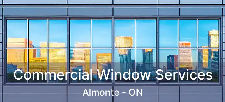  Commercial Window Services Almonte - ON