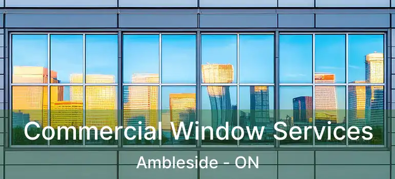  Commercial Window Services Ambleside - ON