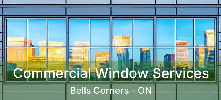  Commercial Window Services Bells Corners - ON