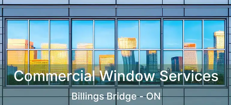  Commercial Window Services Billings Bridge - ON