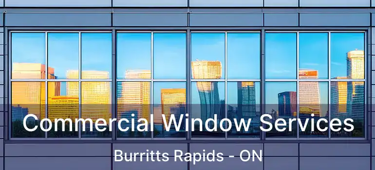  Commercial Window Services Burritts Rapids - ON