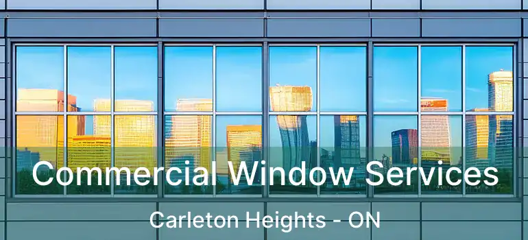  Commercial Window Services Carleton Heights - ON