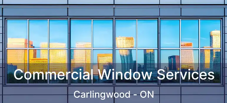  Commercial Window Services Carlingwood - ON