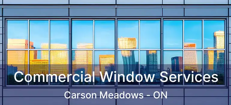  Commercial Window Services Carson Meadows - ON