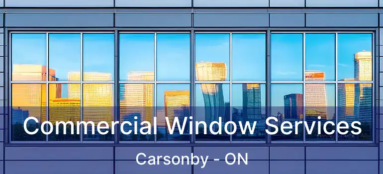  Commercial Window Services Carsonby - ON