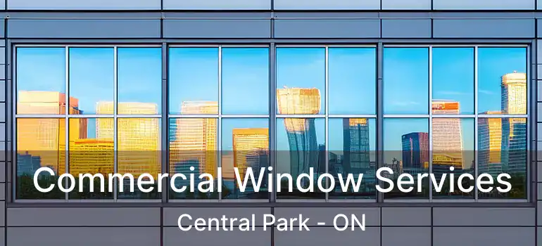  Commercial Window Services Central Park - ON