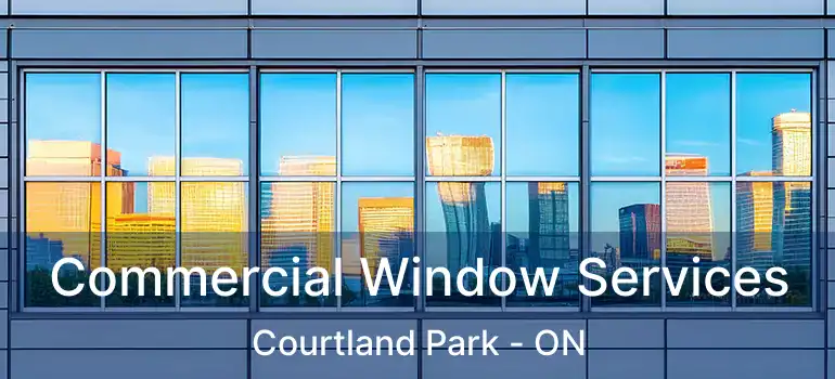  Commercial Window Services Courtland Park - ON