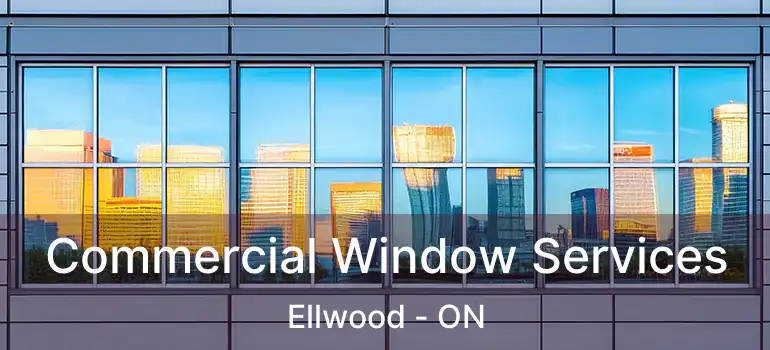  Commercial Window Services Ellwood - ON