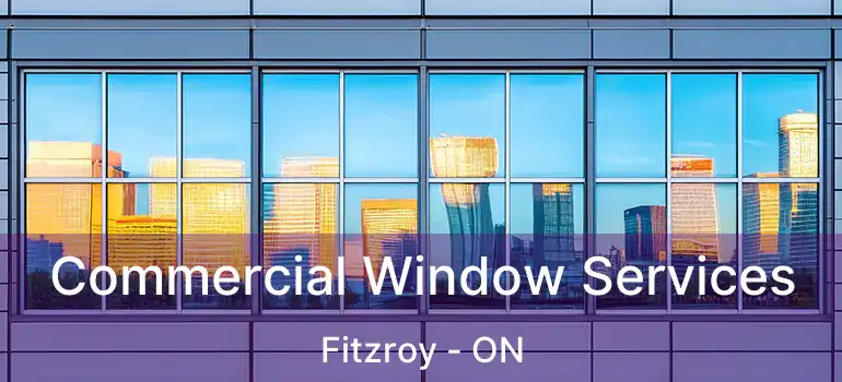  Commercial Window Services Fitzroy - ON